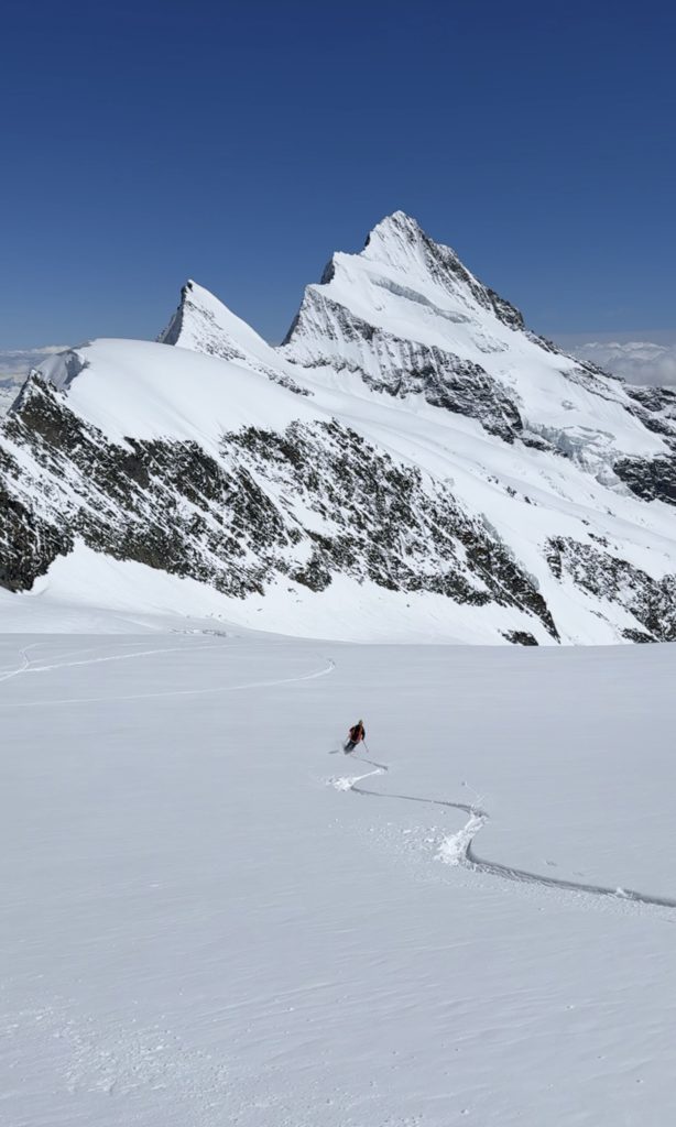 Skieur dévalant le pente du Walliser Fiescherfirn face au Finsteraarhorn